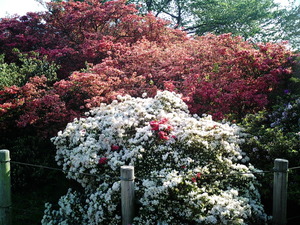 ���ϸ�Ω�ĤĤ��������� ����β֤�餫���������ΤĤĤ�