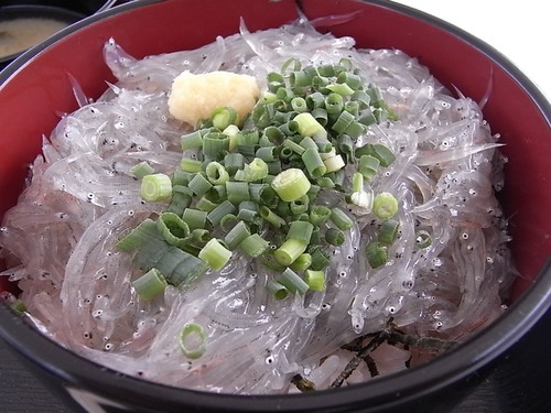 どんぶりハウスの生しらす丼