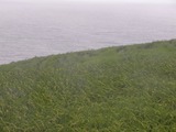 千枚田の中から見る風景2