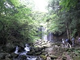 沼原湿原19