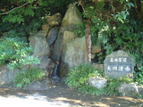 世界遺産屋久島大川の滝5