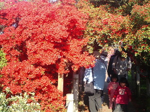 ���ϸ�Ω�ĤĤ��������� �ȥ�ͥ���˺餭�ؤ�Ȥ��֤������ΤĤĤ�