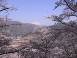大法師公園から富士山を望む3