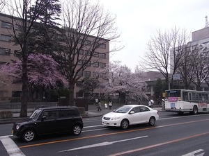 官庁街