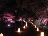 灯籠で照らされる散策路1