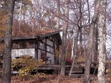 雑木林と小屋