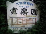 盆栽村2