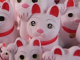 目が輝いてる招き猫