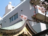 湯島天神13