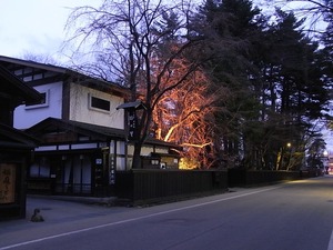 人通りも少ない夕暮れの角館武家屋敷通りと咲いていないしだれ桜3