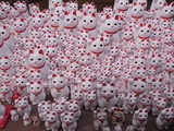 奉納された招き猫たち1
