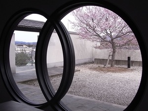 本荘公園修身館円窓からの満開の桜の眺め1