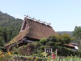 茅葺き屋根2