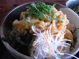 イカあぶり辛味噌丼の丼