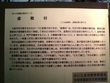 盆栽村6