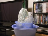 夏菌スカッシュを冷やしてるところ2