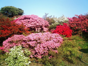 ���ϸ�Ω�ĤĤ��������� ��������ֿ��β֤�餫���������ΤĤĤ�