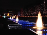 昭和記念公園22
