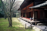 高桐院8