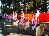 茂林寺のひな祭り31