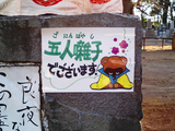 茂林寺のひな祭り29