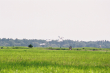 松島基地航空祭15