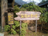 盆栽村3