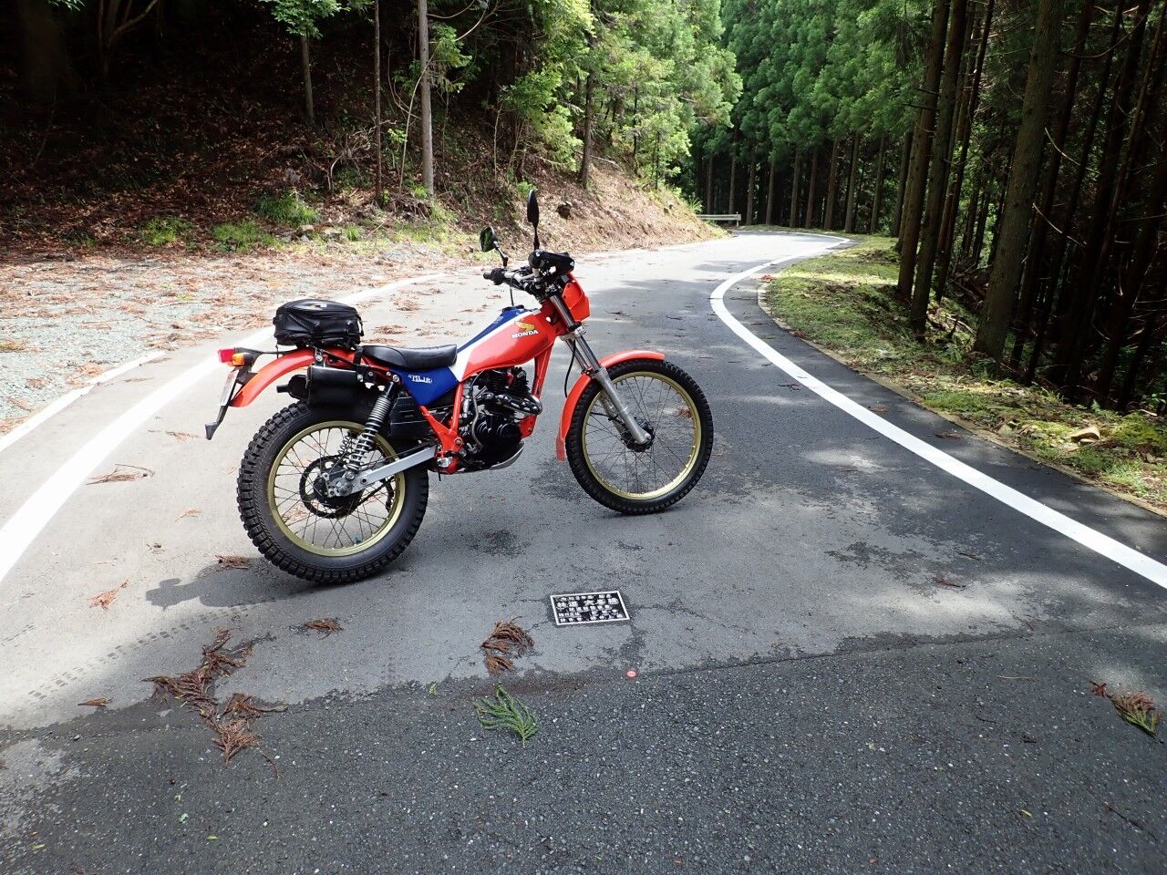 愛知】林道大峯線【新城市】 : Motorcycle Wanderer