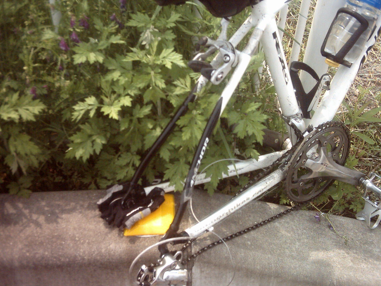 自転車 ウェス