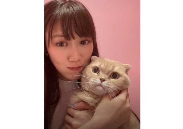 ぜっちゃんは食べたらアカンかわいい 可愛いと可愛いが渋滞 貫禄あるなぁ ぜっちゃん れにちゃんのtiktokに初登場 ももクロ侍 ぜっちゃんは食べたらアカンかわいい 可愛いと可愛いが渋滞 貫禄あるなぁ ぜっちゃん れにちゃんのtiktokに初登場 ももクロ侍