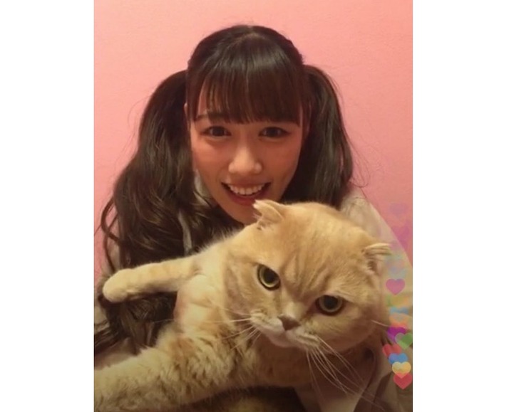 ぜっちゃんデカい 笑 れにちゃんママの れにちゃん 切れてないよ 笑 高城れに インスタライブ 5 7 実況まとめ ももクロ侍 ぜっちゃんデカい 笑 れにちゃんママの れにちゃん 切れてないよ 笑 高城れに インスタライブ 5 7 実況まとめ ももクロ侍