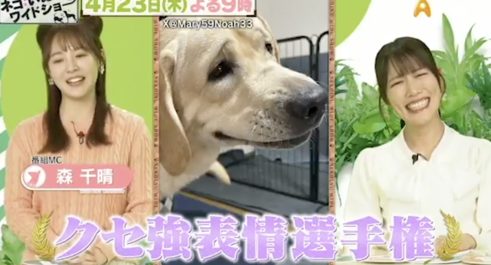 スクリーンショット 2026-04-23 8.23.03