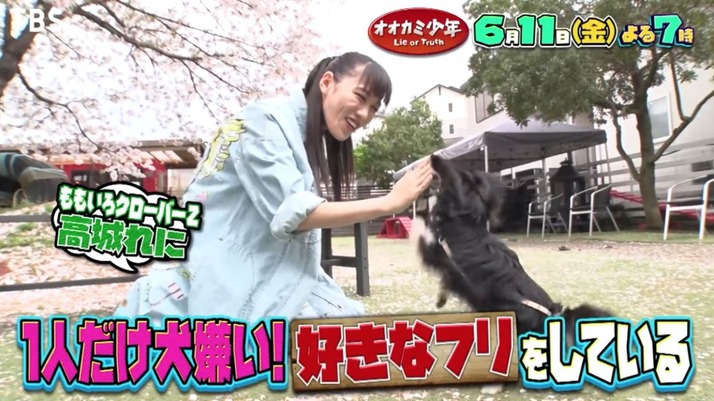 予告動画 高城れに オオカミ少年 出演決定 本当は犬嫌いで飼ってもいないワンコ ウソ愛犬家は誰 ももクロ侍 予告動画 高城れに オオカミ少年 出演決定 本当は犬嫌いで飼ってもいないワンコ ウソ愛犬家は誰 ももクロ侍