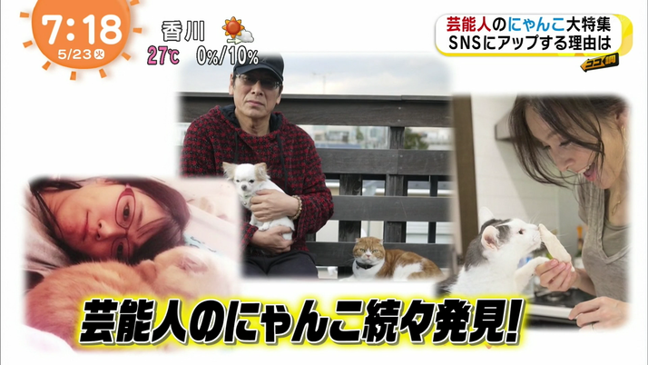 高城れにさんのにゃんこは あどけない表情が魅力のぜっとくん 今朝の めざましテレビ ココ調でれにちゃん ぜっくん登場 ももクロ侍 高城れにさんのにゃんこは あどけない表情が魅力のぜっとくん 今朝の めざましテレビ ココ調でれにちゃん ぜっくん登場 ももクロ侍