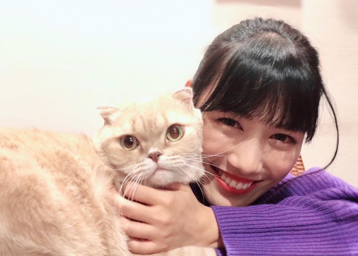 高城れに 自宅で愛猫とドミノ挑戦 4 1 木 放送 笑える 泣ける 動物スクープ100連発 出演決定 ももクロ侍 高城れに 自宅で愛猫とドミノ挑戦 4 1 木 放送 笑える 泣ける 動物スクープ100連発 出演決定 ももクロ侍