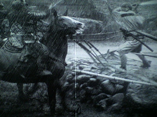 05f7212f.jpg