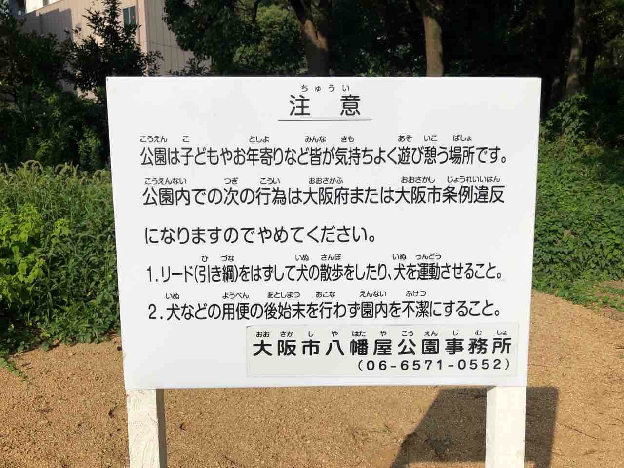 やすとログ 和泉市副市長 新しい公園がオープン こどもの声 音楽 自然の響きが大正区役所前に輝く やすとログ 和泉市副市長 新しい公園がオープン こどもの声 音楽 自然の響きが大正区役所前に輝く