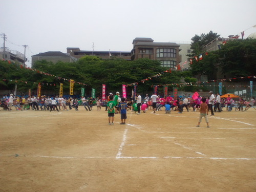 d43336df.jpg