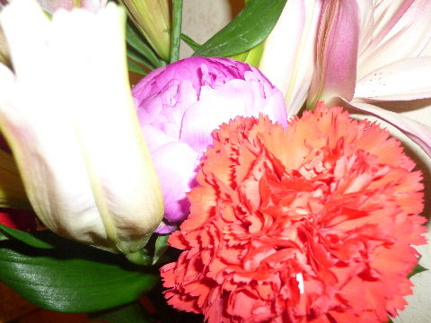 P1020161(1)