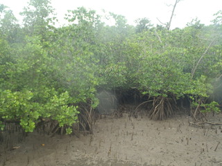 P7310069