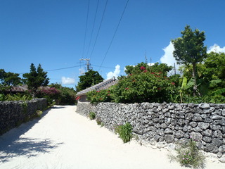 P8020238