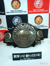 IWGP¥Ù¥ë¥È