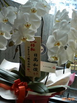 お花2