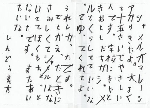 げんたシャメルの感想