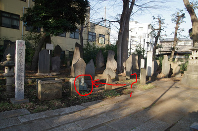 BlogPaint