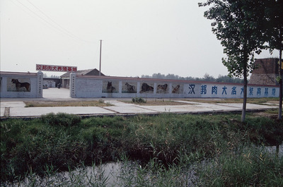 漢邦肉犬養殖基地