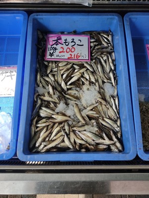 もろこ