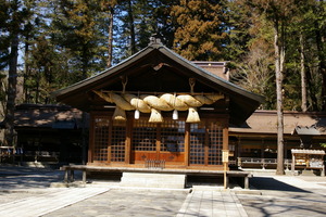 ���ҽյܿ�����