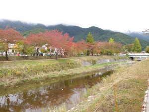 河口湖の紅葉(1024x768)
