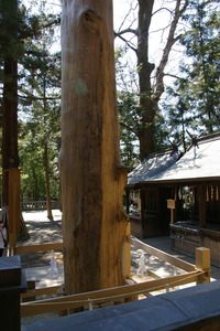 ���ҽ��ܤθ����΢��